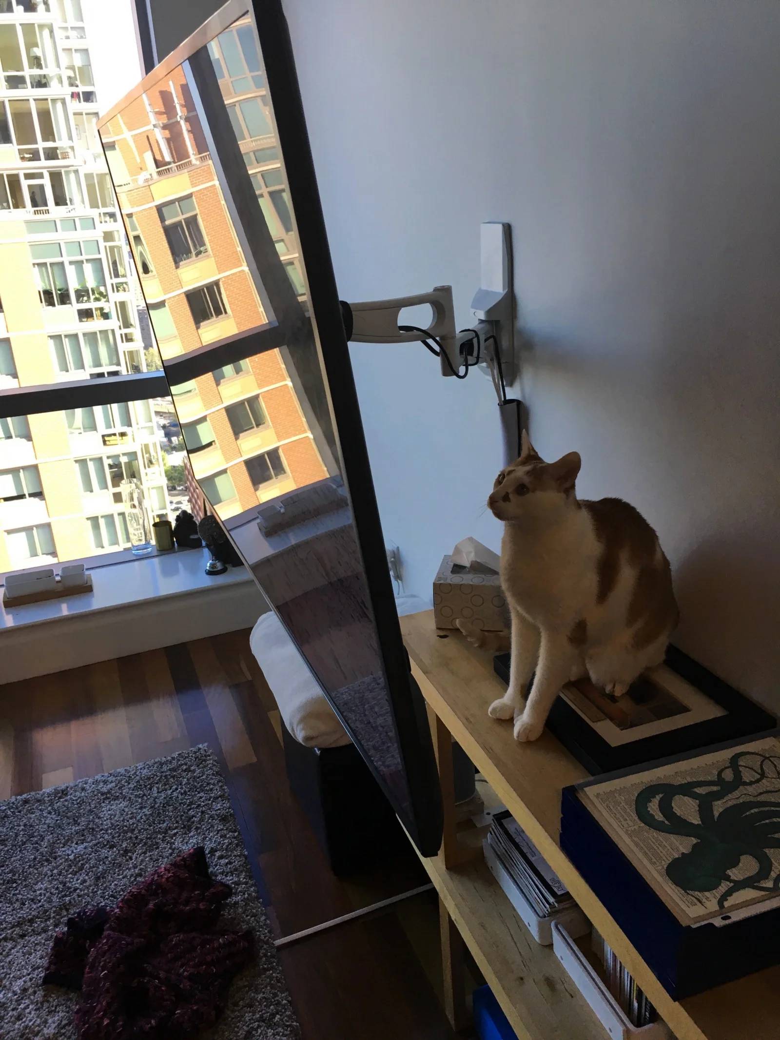 "Squirrel hunt is on"